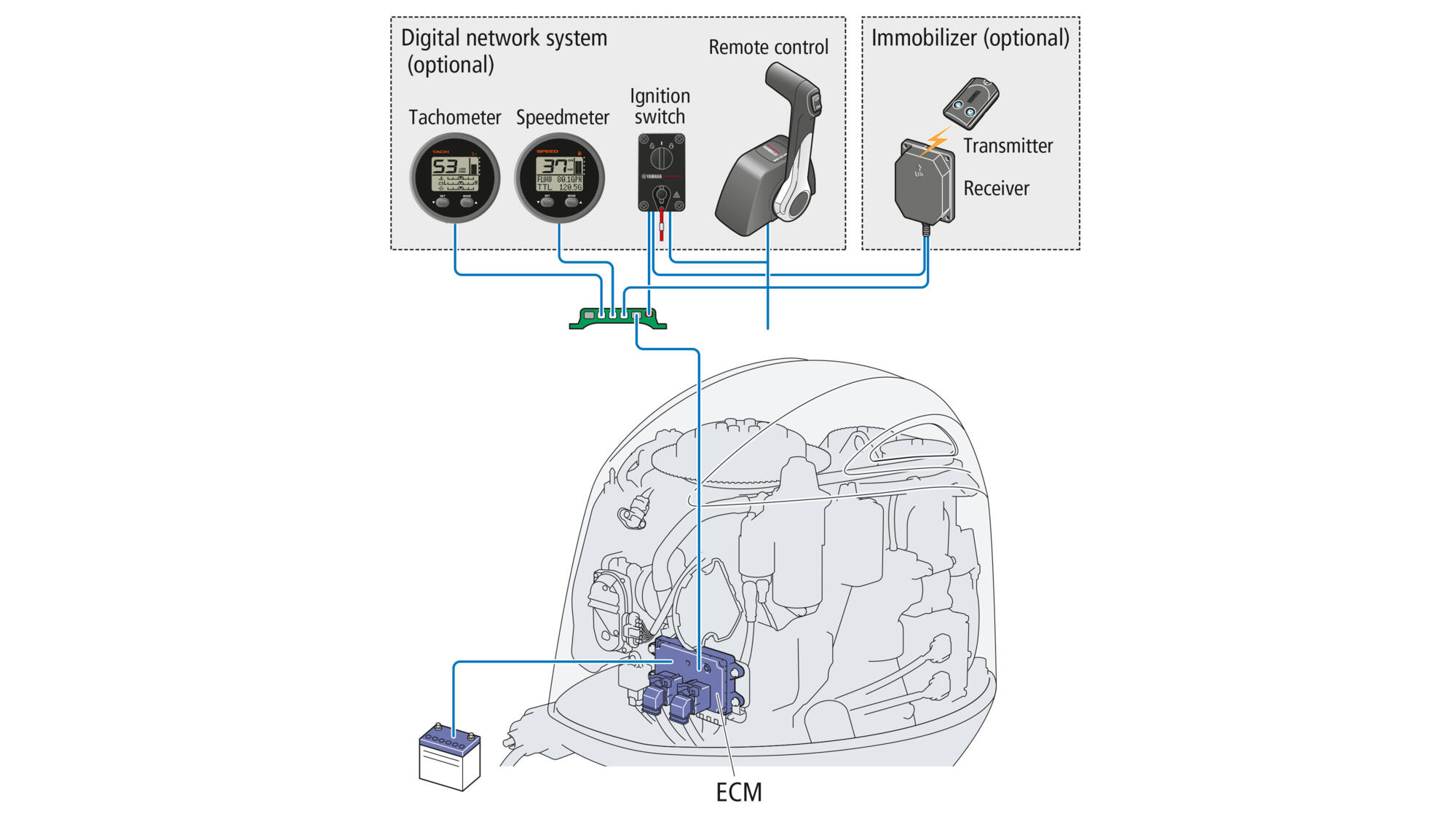 Digital Network Gauges (optional)