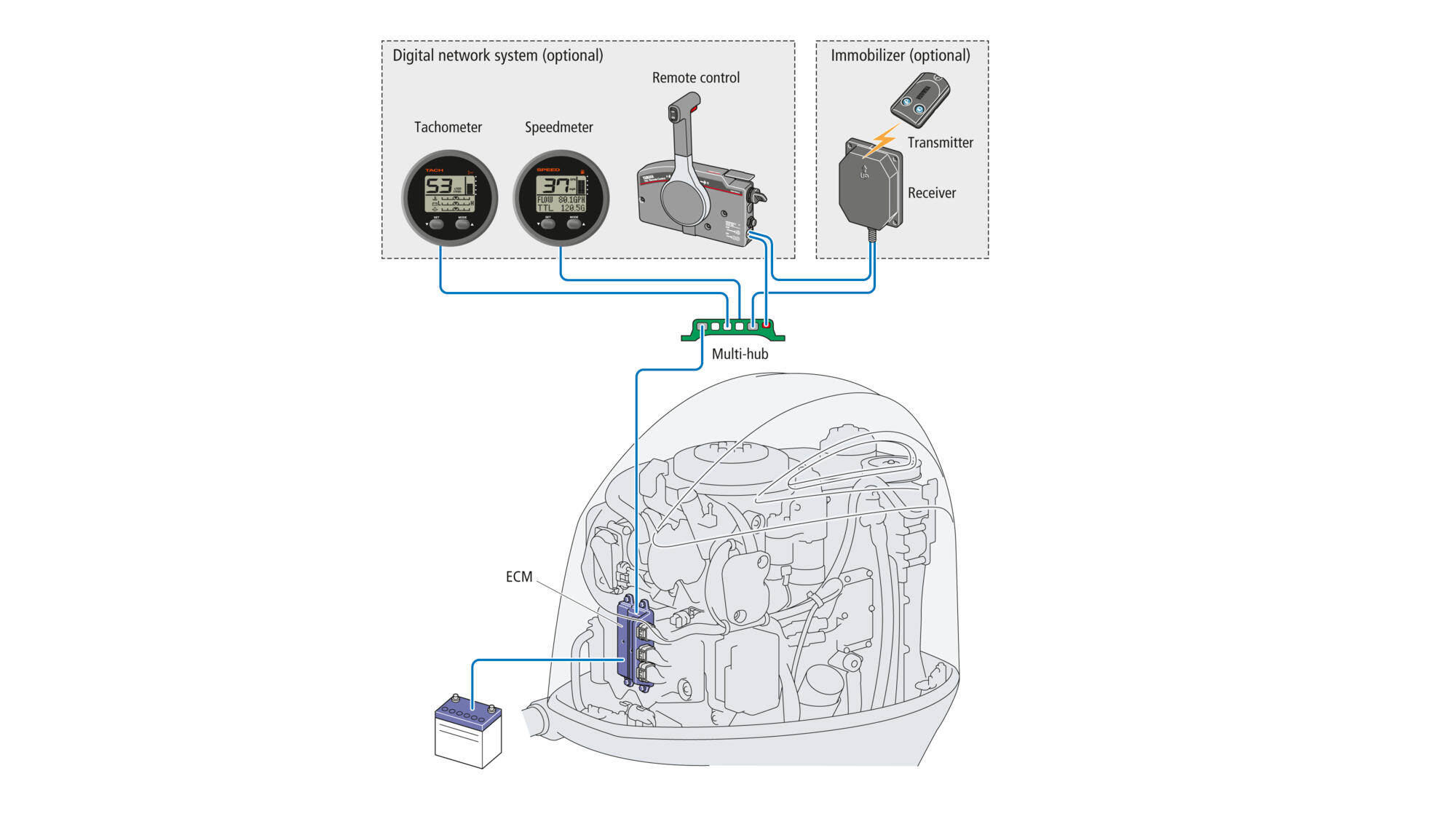 Digital Network Gauges (optional)