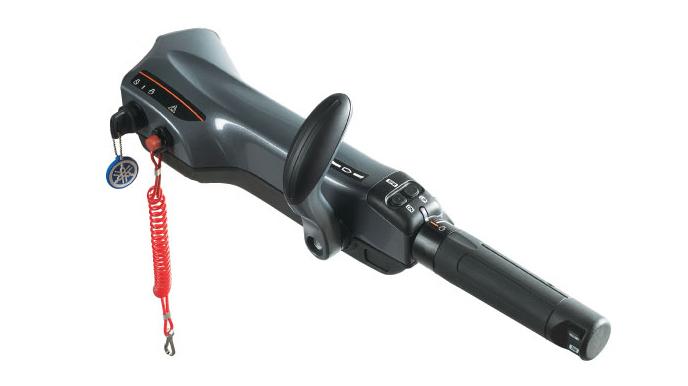 Multi-function tiller handle option